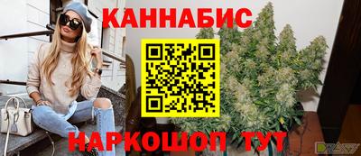 стаф Нальчик